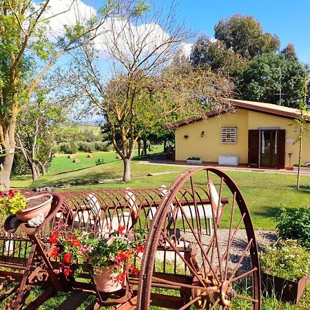Agriturismo La Sorgente ฟอนเตบลันดา ภายนอก รูปภาพ