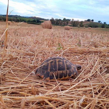Agriturismo La Sorgente ฟอนเตบลันดา ภายนอก รูปภาพ