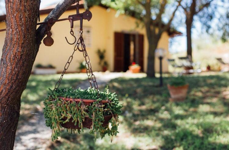 Agriturismo La Sorgente ฟอนเตบลันดา ภายนอก รูปภาพ