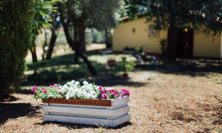 Agriturismo La Sorgente ฟอนเตบลันดา ภายนอก รูปภาพ