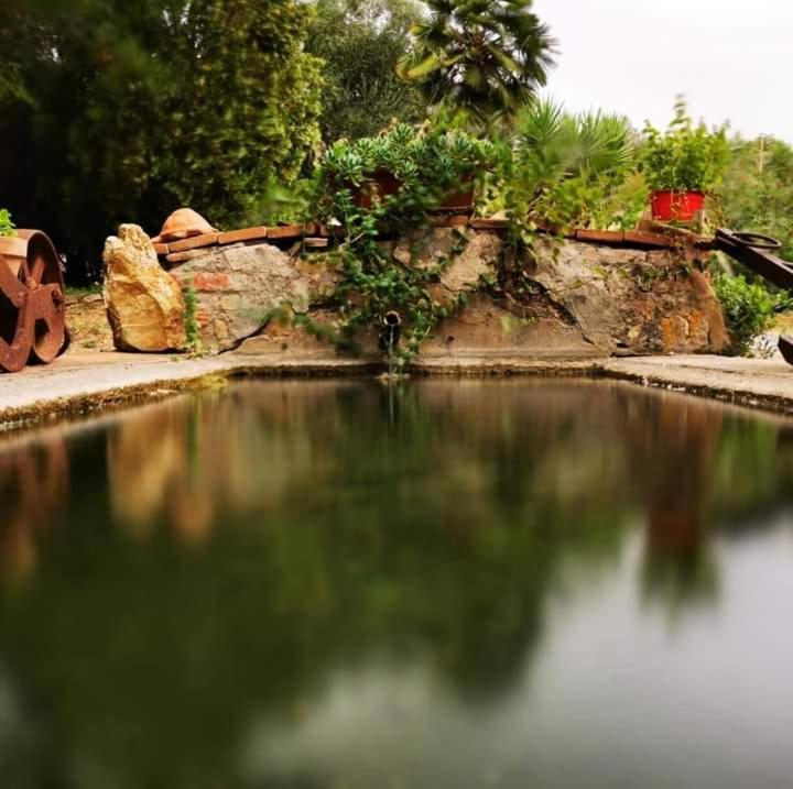 Agriturismo La Sorgente ฟอนเตบลันดา ภายนอก รูปภาพ