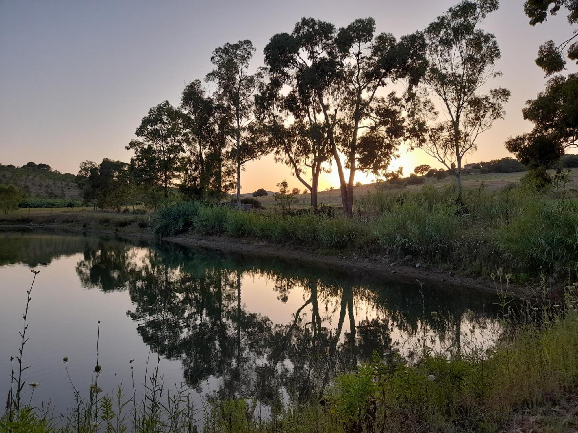 Agriturismo La Sorgente ฟอนเตบลันดา ภายนอก รูปภาพ