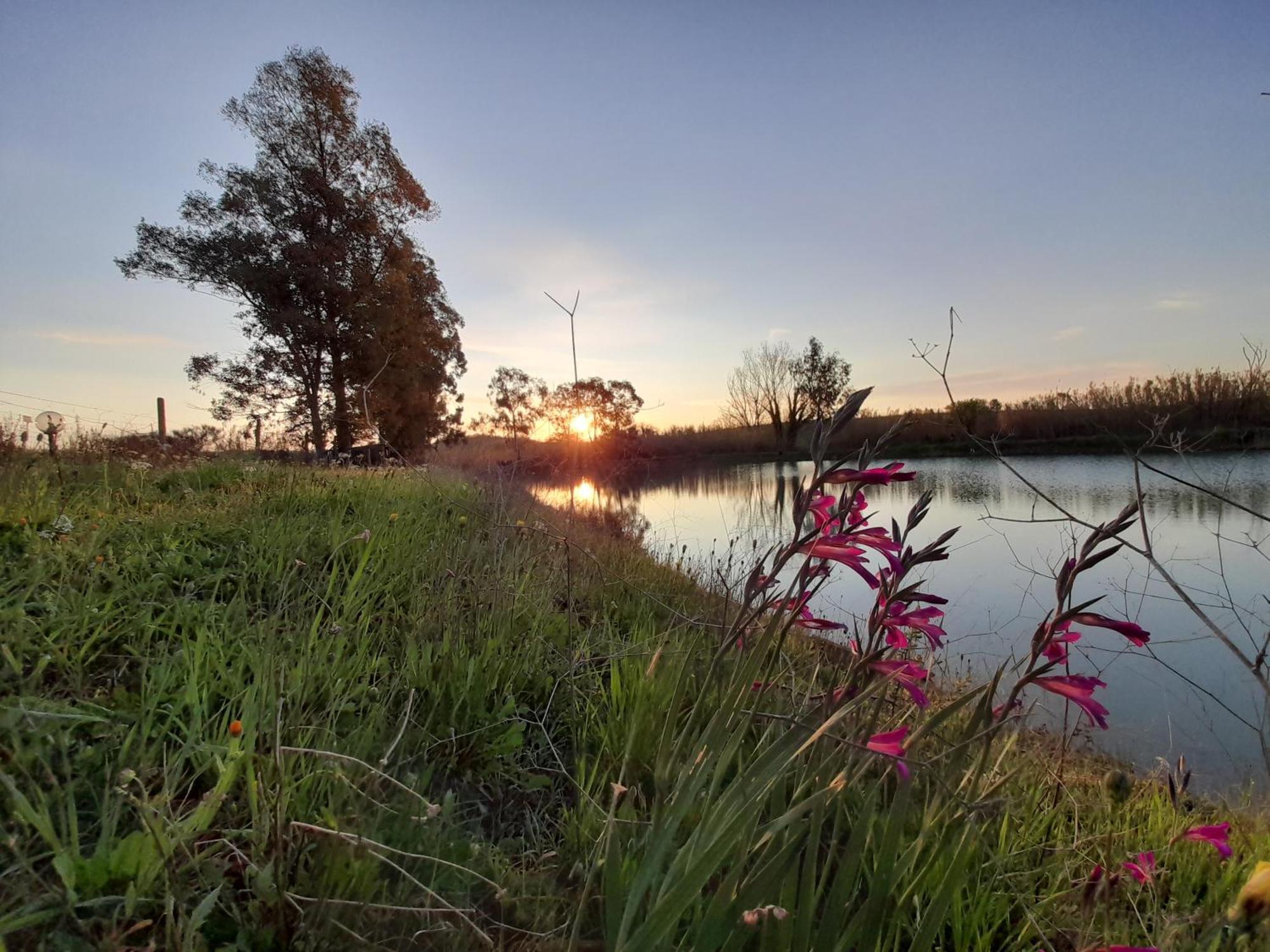 Agriturismo La Sorgente ฟอนเตบลันดา ภายนอก รูปภาพ