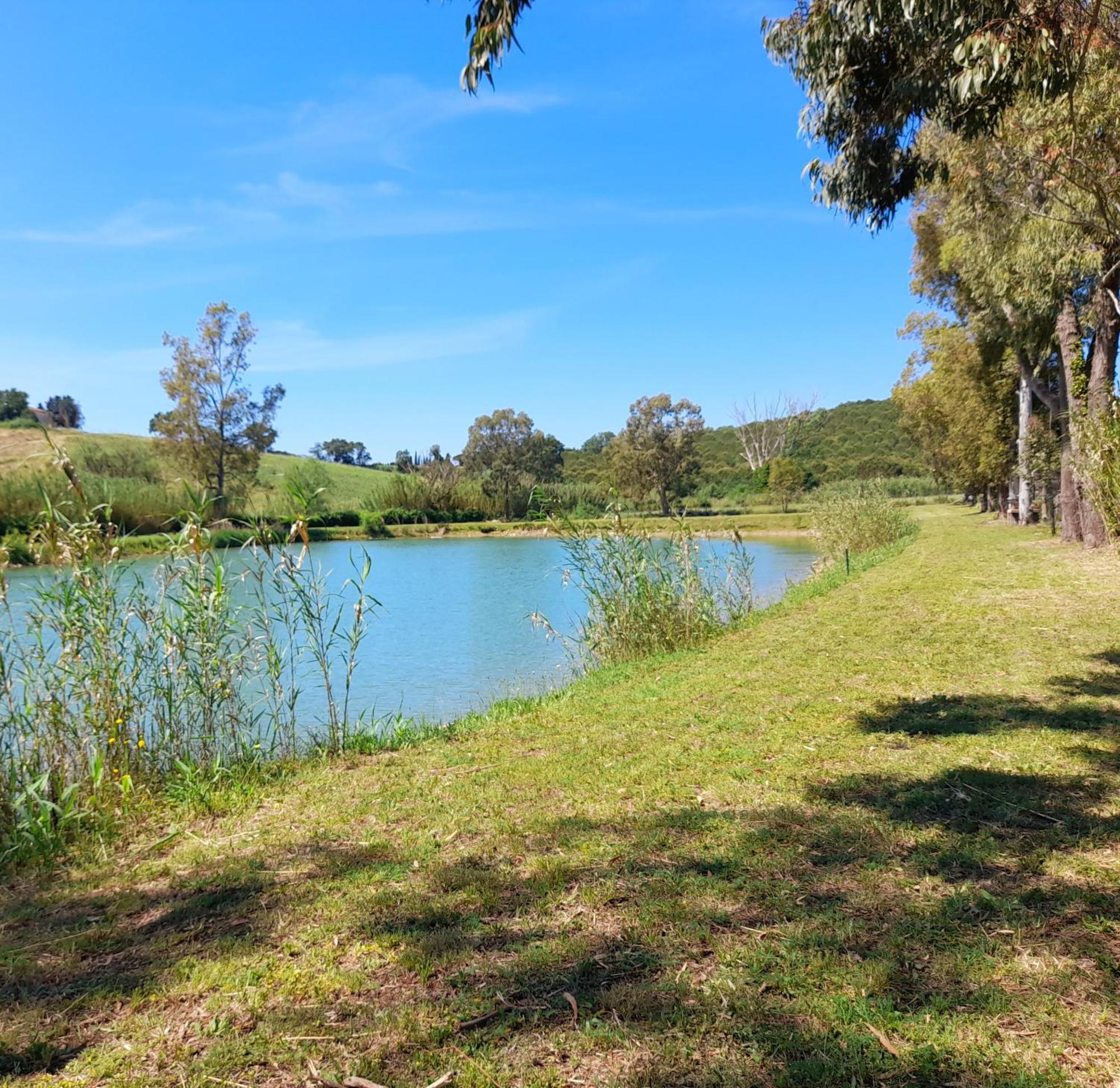 Agriturismo La Sorgente ฟอนเตบลันดา ภายนอก รูปภาพ